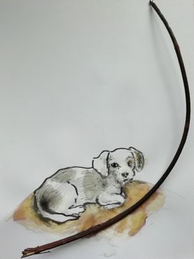 Day 75 - dog with a stick 05